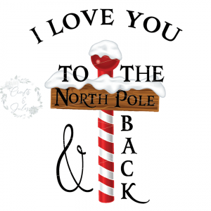 To-the-N-Pole-and-Back_WM