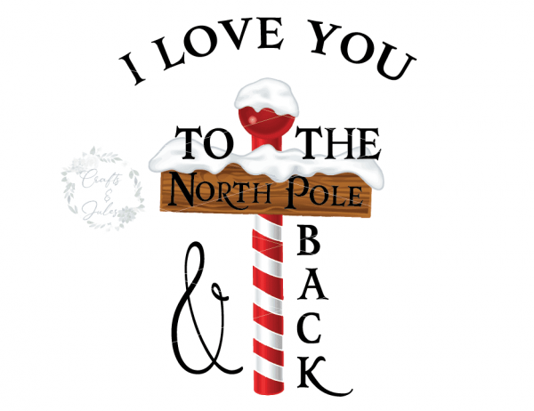 To-the-N-Pole-and-Back_WM